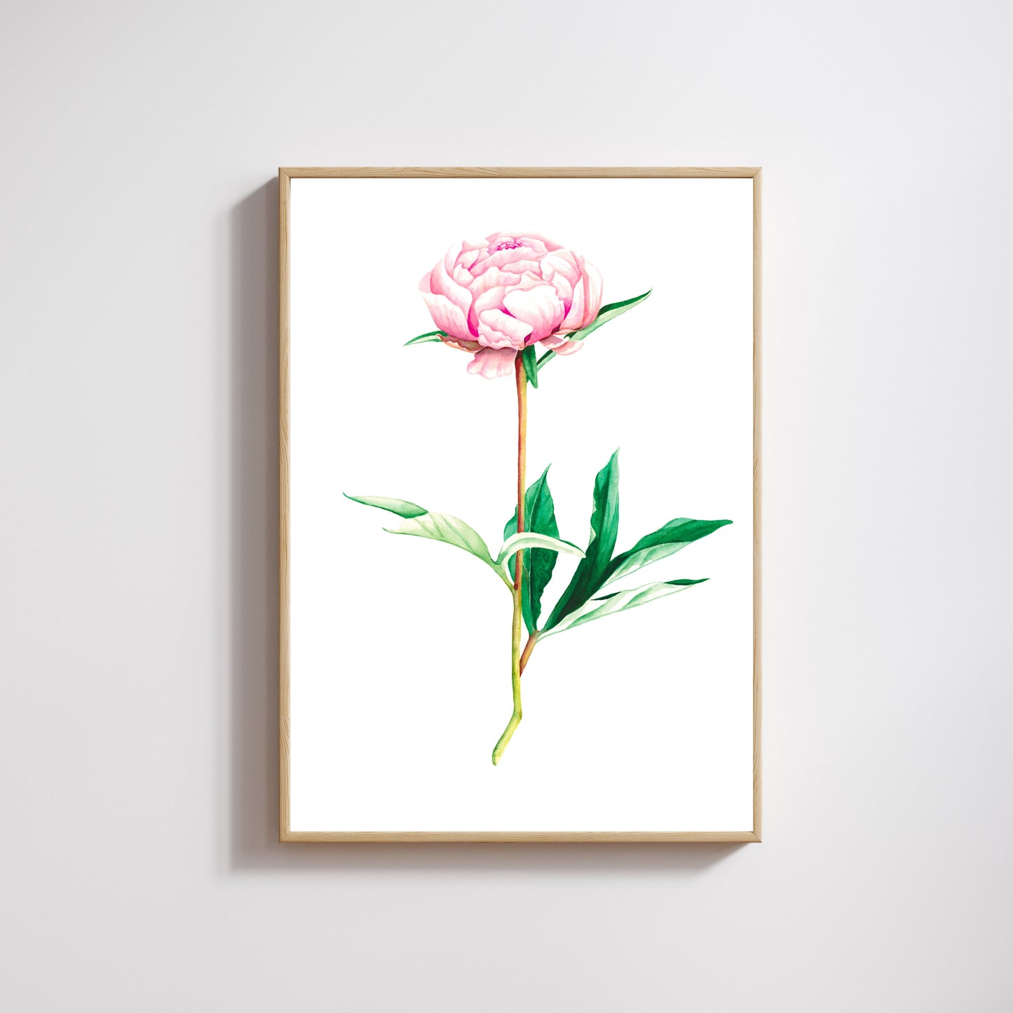 Peony