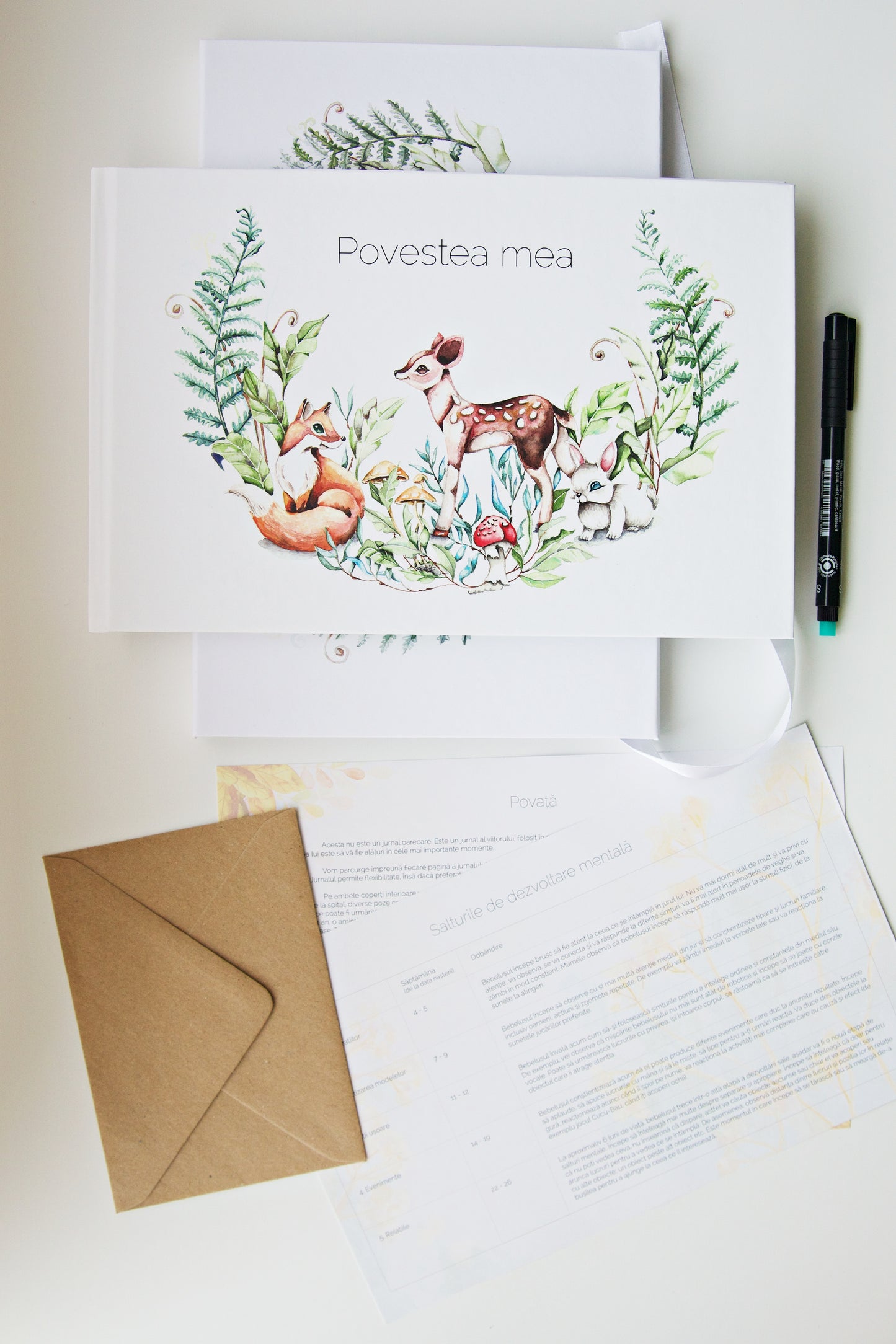 Baby Journal