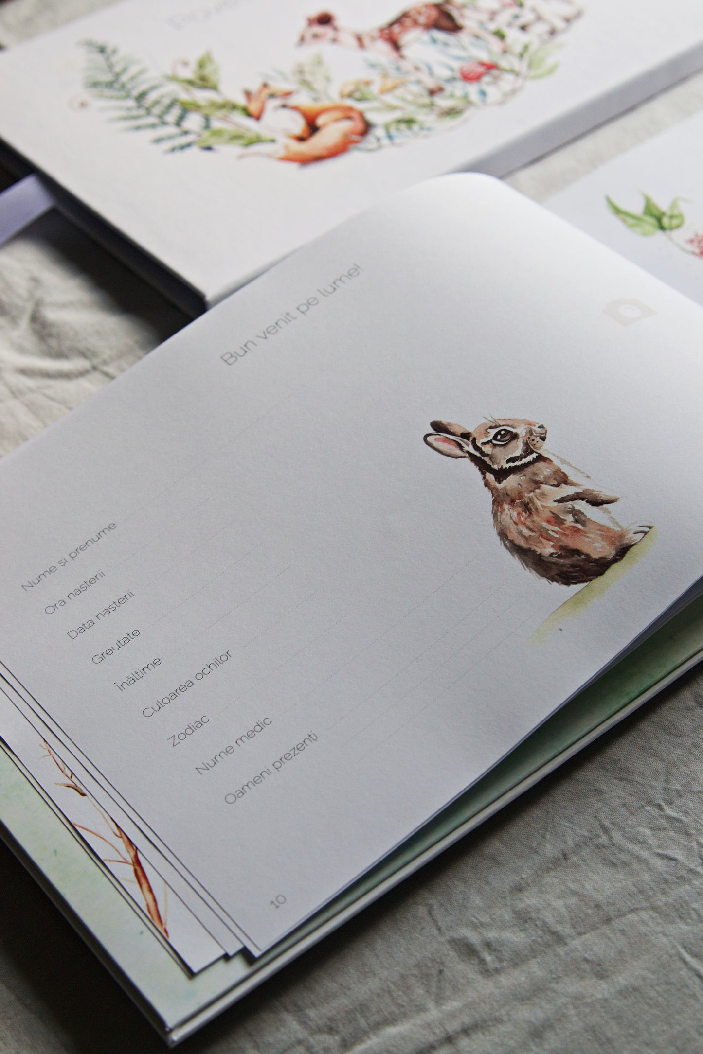 Baby Journal