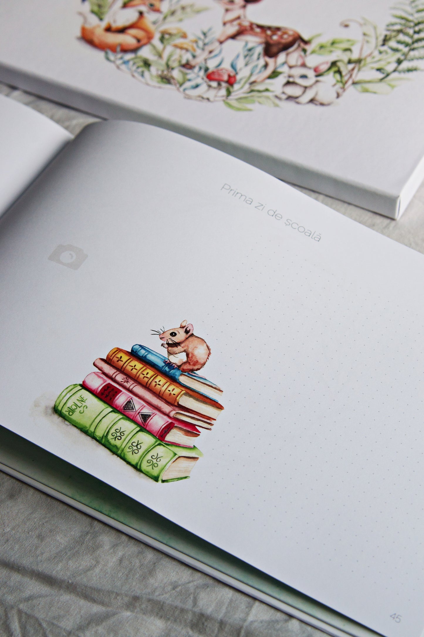 Baby Journal