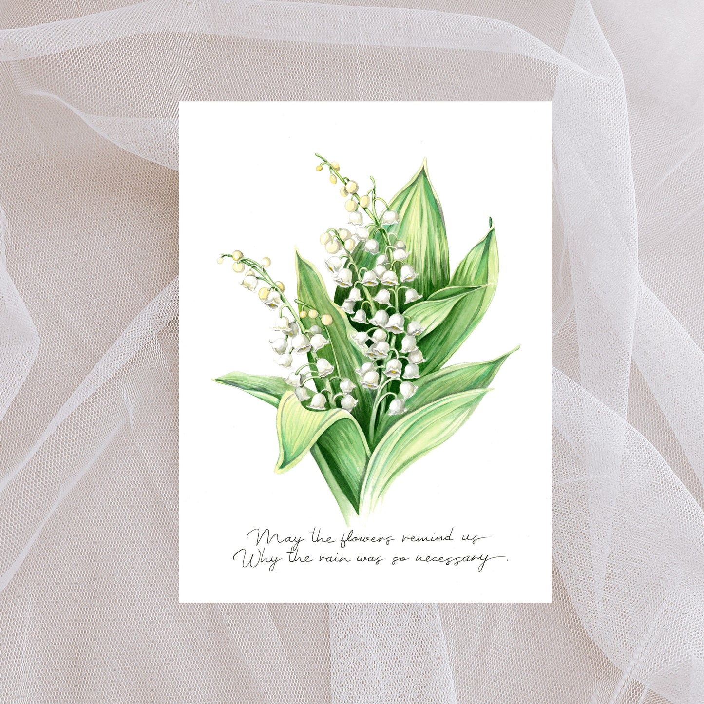 Lilly of the Valley