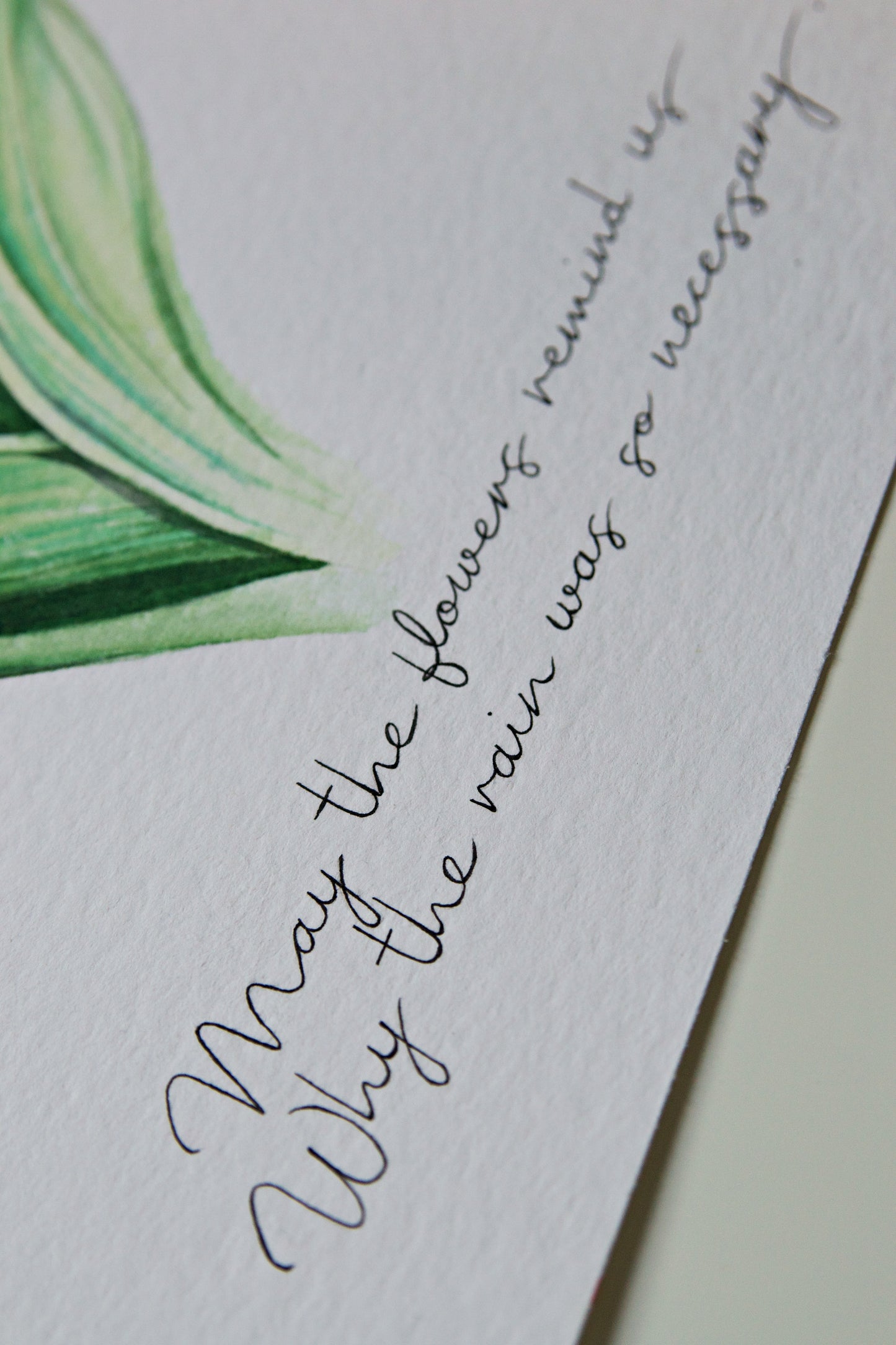 Lilly of the Valley