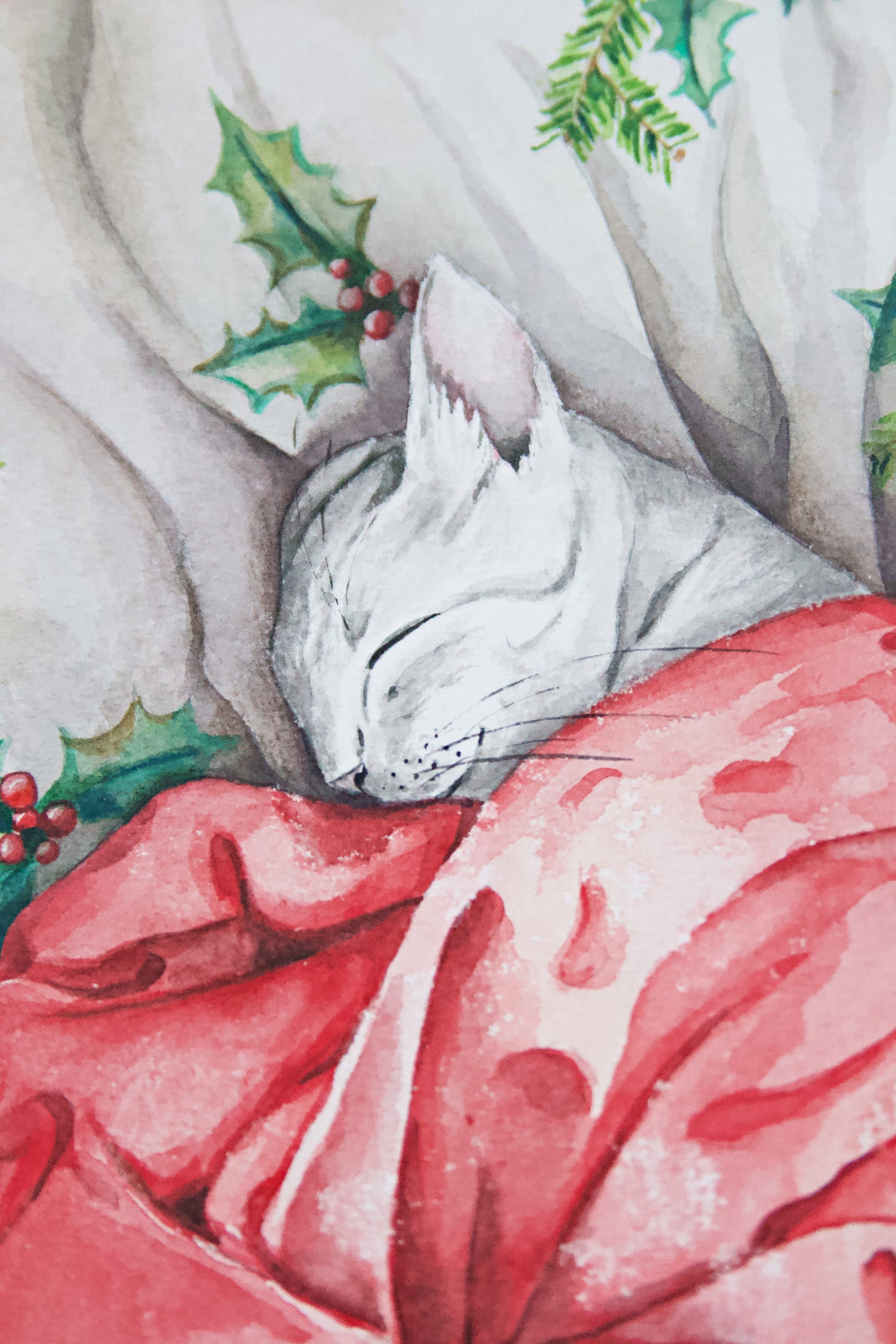 Sleepy Christmas Cat I