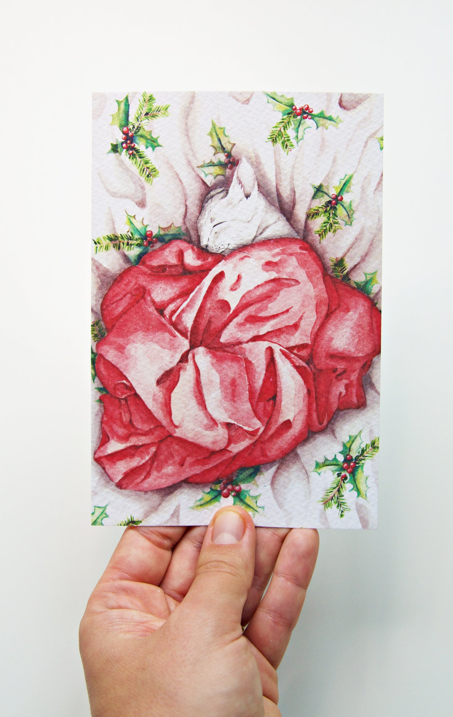 Sleepy Christmas Cat I